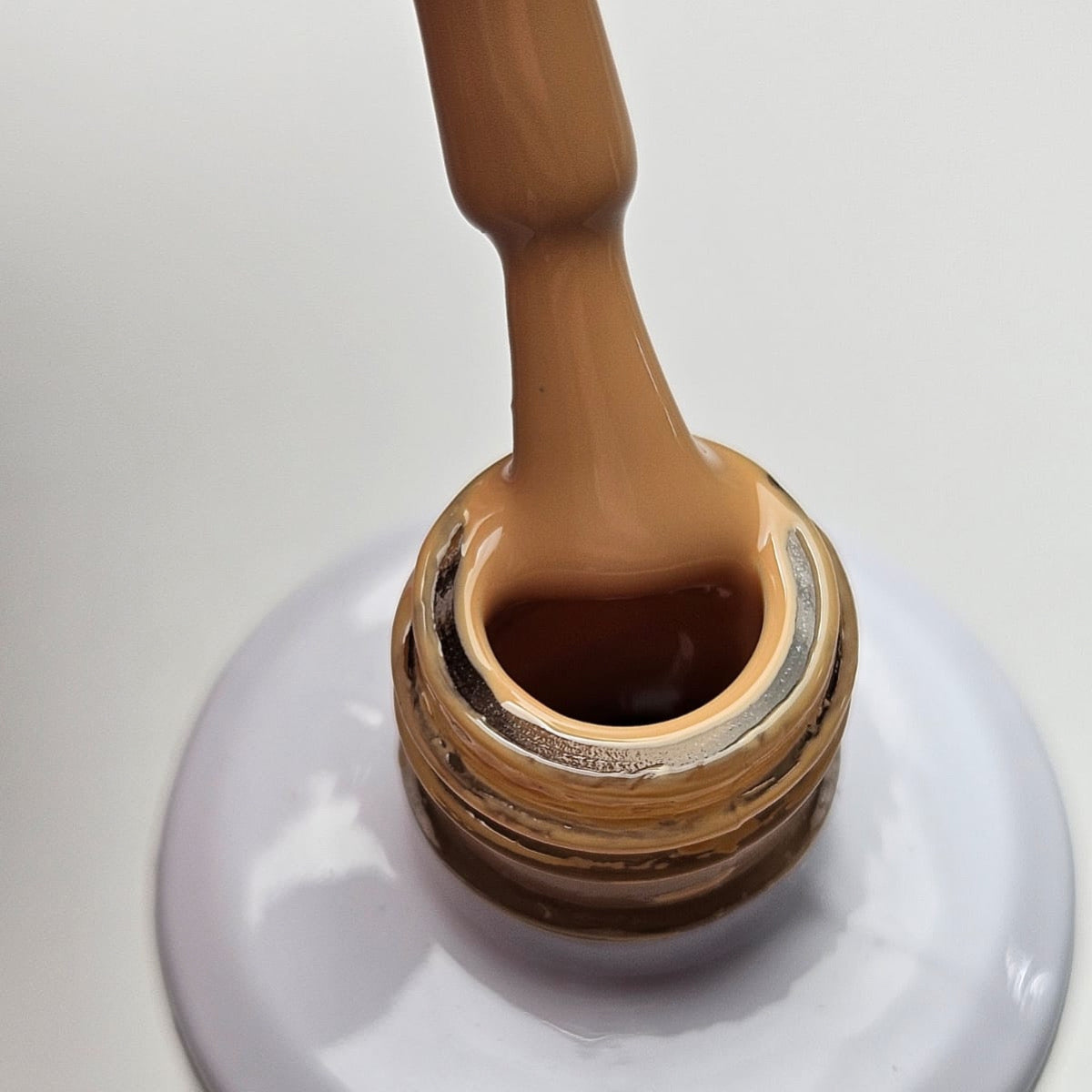 Autumn’s Collection