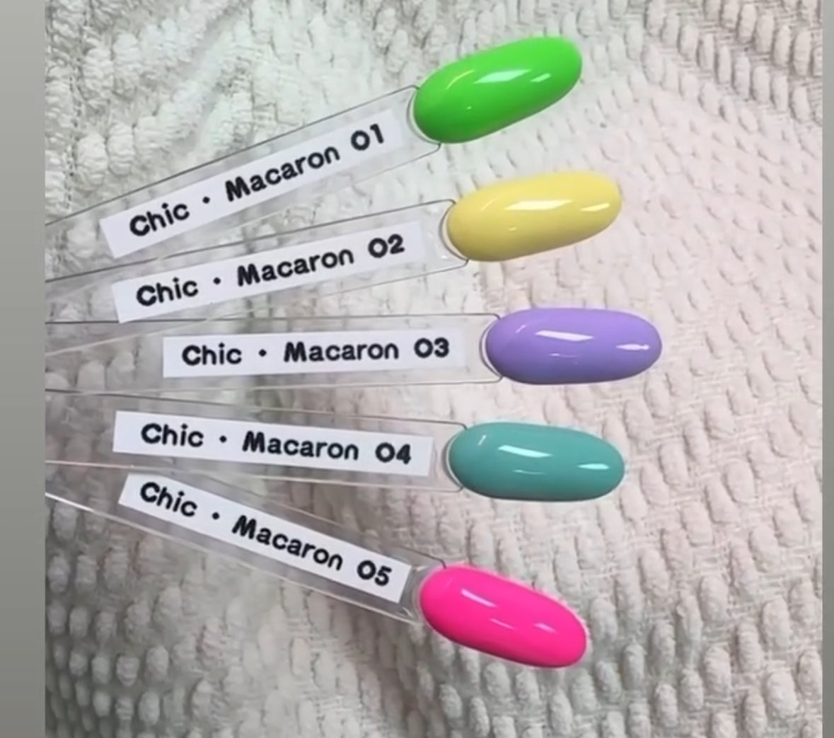 Macaroon Collection